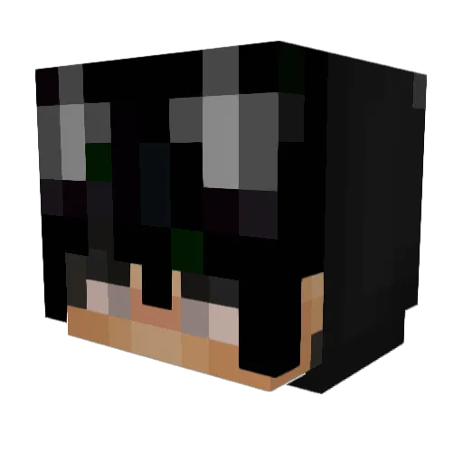 reqord_ Minecraft avatar head, 3D render