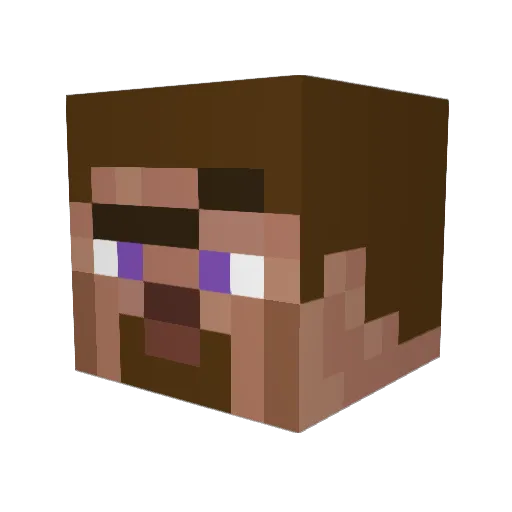 rerasmus Minecraft avatar head, 3D render