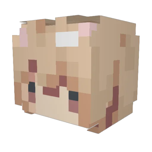 rerc Minecraft avatar head, 3D render