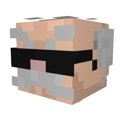 rescueberry Minecraft avatar head, 3D render