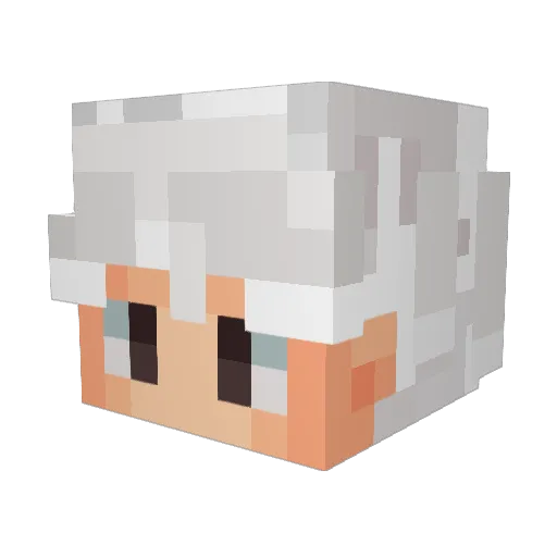 resgatadinho Minecraft avatar head, 3D render