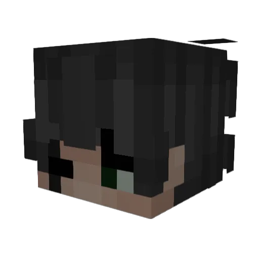 residontevil Minecraft avatar head, 3D render