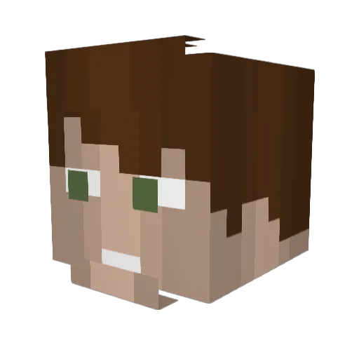 resnickwill Minecraft avatar head, 3D render