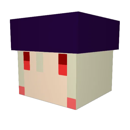 ressy1120 Minecraft avatar head, 3D render
