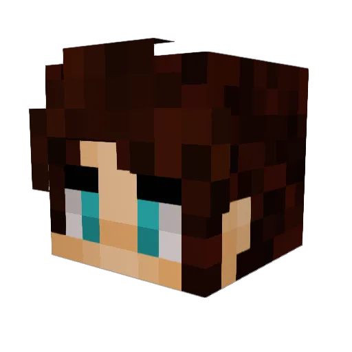 rester86cz Minecraft avatar head, 3D render