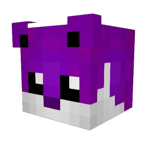 restinpeace123 Minecraft avatar head, 3D render