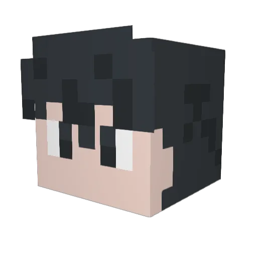 resutora Minecraft avatar head, 3D render