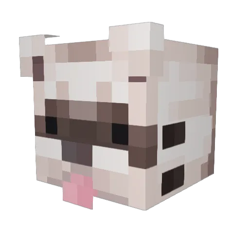 retent Minecraft avatar head, 3D render