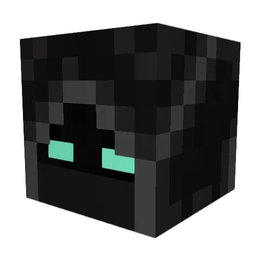 retirao Minecraft avatar head, 3D render