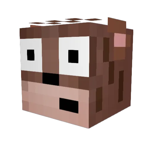 retor55 Minecraft avatar head, 3D render