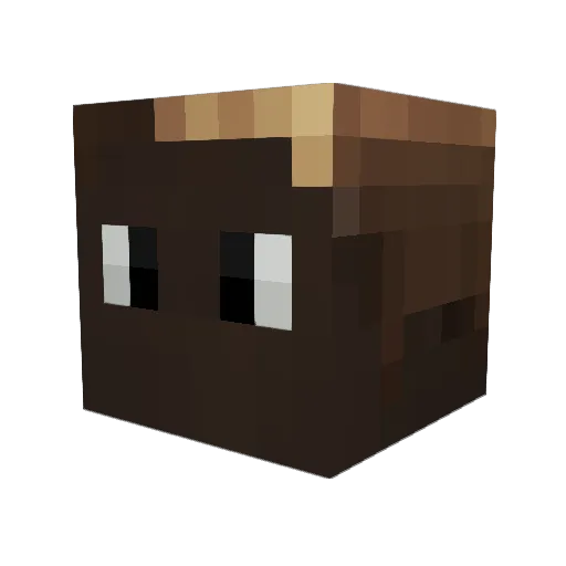 retrad_221 Minecraft avatar head, 3D render