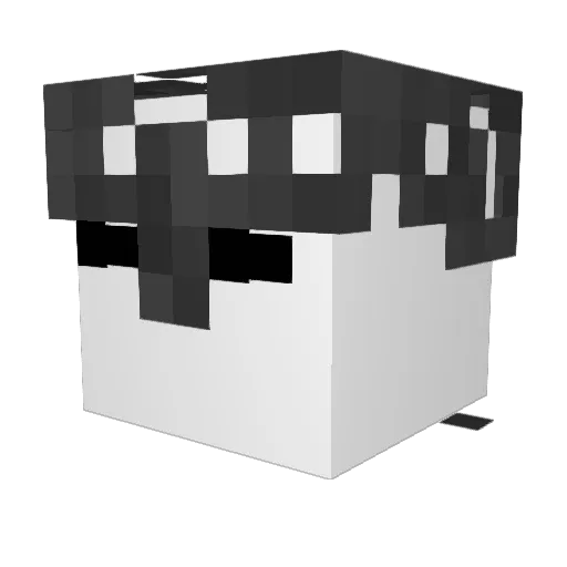 retsnomdiarfa Minecraft avatar head, 3D render