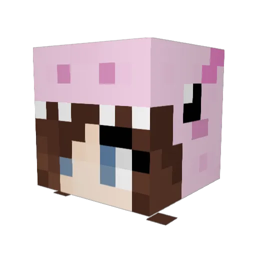 reuben6971 Minecraft avatar head, 3D render