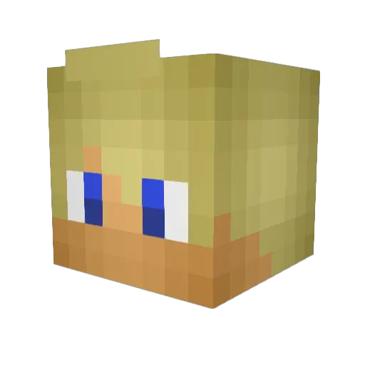 reus1001 Minecraft avatar head, 3D render