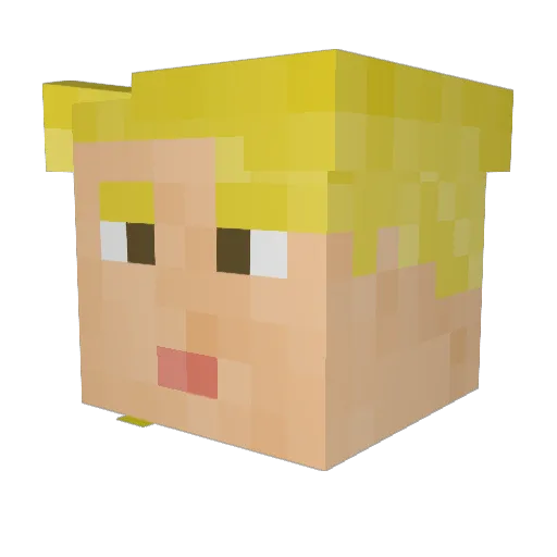 reusik11 Minecraft avatar head, 3D render