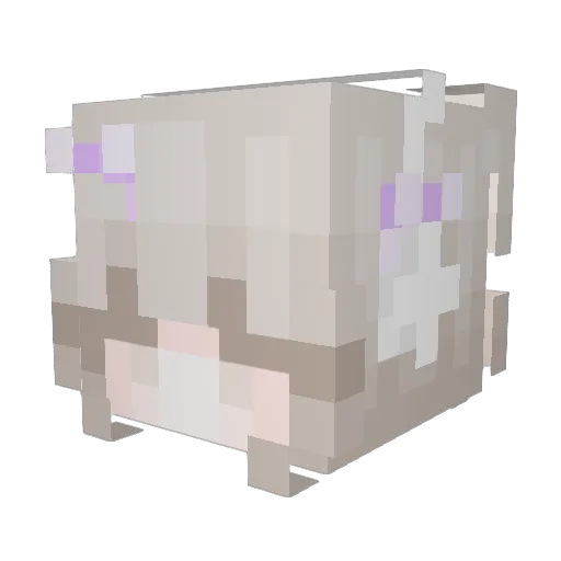 rev_ery Minecraft avatar head, 3D render