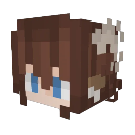 revenruffs Minecraft avatar head, 3D render