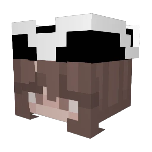 reverisverte Minecraft avatar head, 3D render