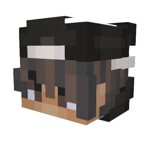 reverse_6k Minecraft avatar head, 3D render