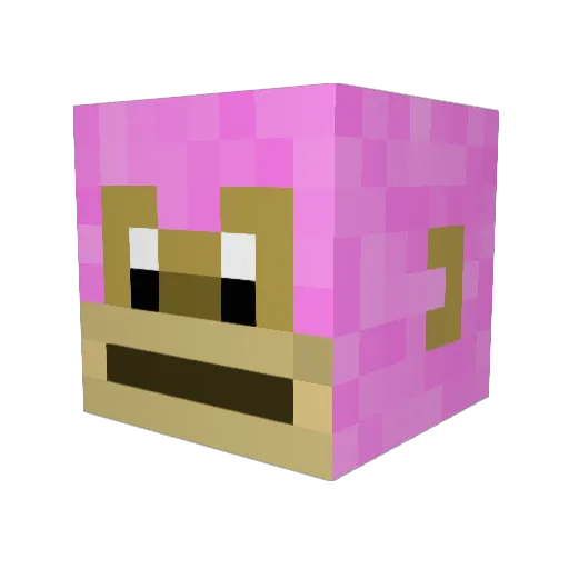 reversesz Minecraft avatar head, 3D render