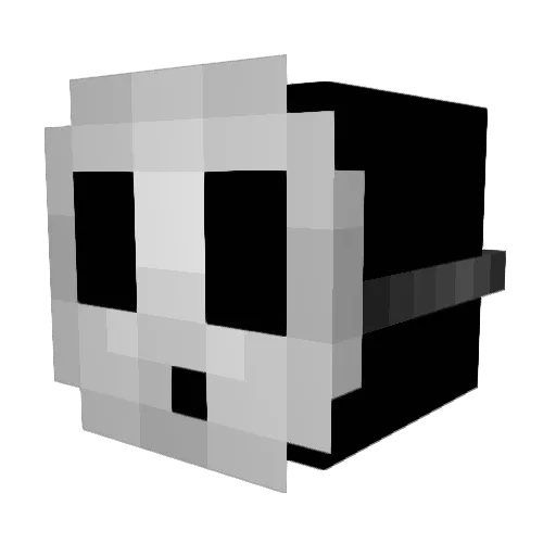 reviatan2604 Minecraft avatar head, 3D render