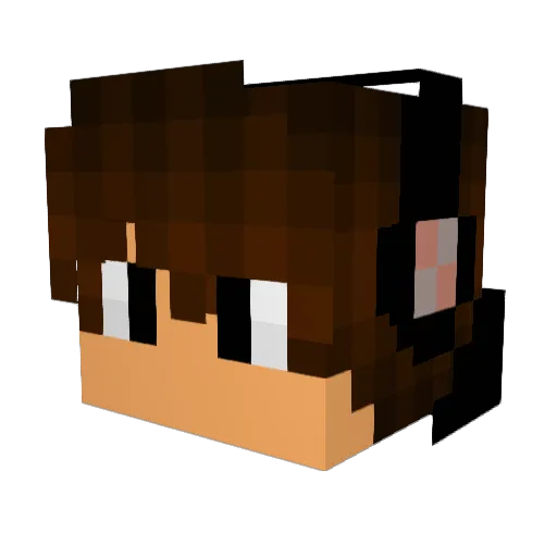 revilo89 Minecraft avatar head, 3D render