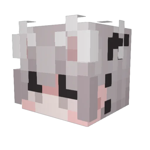rew7nds Minecraft avatar head, 3D render