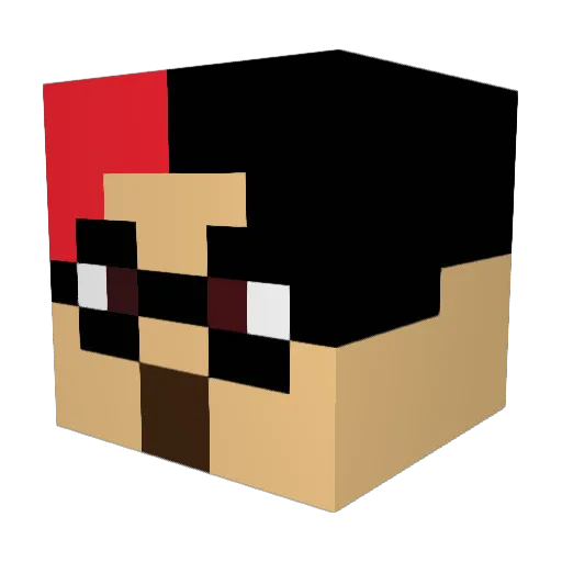 rewaso1416 Minecraft avatar head, 3D render