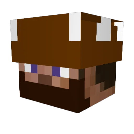 rewind610 Minecraft avatar head, 3D render