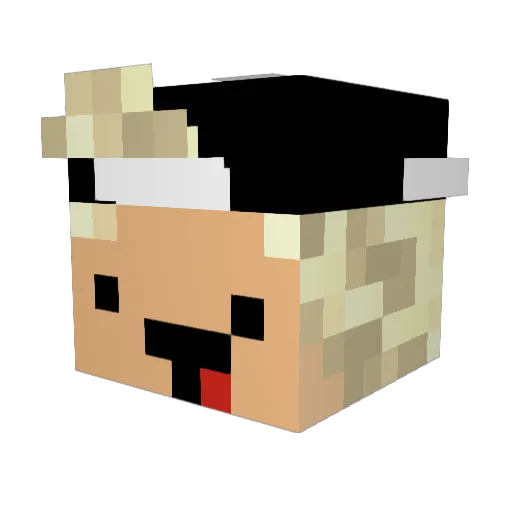 rewinstagram Minecraft avatar head, 3D render
