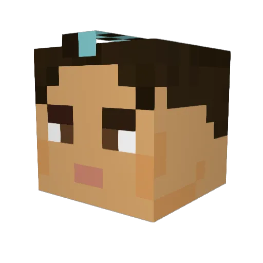 rex2311 Minecraft avatar head, 3D render