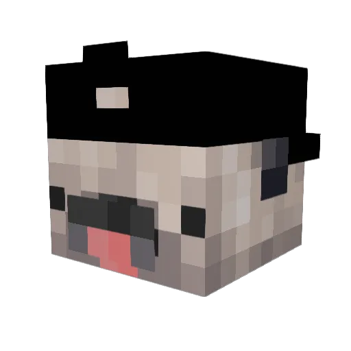 rex_rex_rex Minecraft avatar head, 3D render