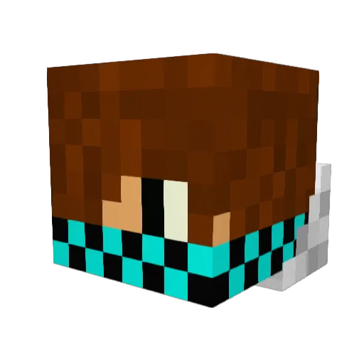 rexdragon9867 Minecraft avatar head, 3D render