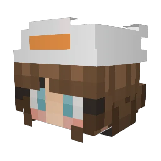 rexi22 Minecraft avatar head, 3D render