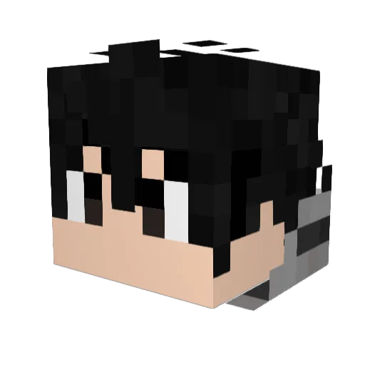 rexleo111 Minecraft avatar head, 3D render