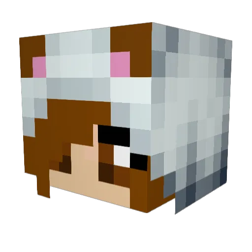 rexmus1 Minecraft avatar head, 3D render