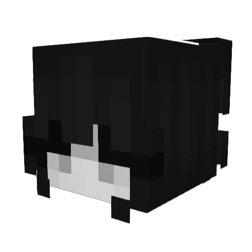 rexxyy Minecraft avatar head, 3D render