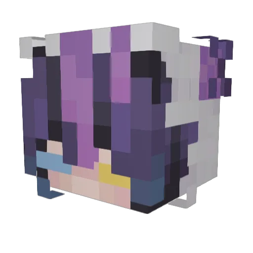 rexy4243 Minecraft avatar head, 3D render