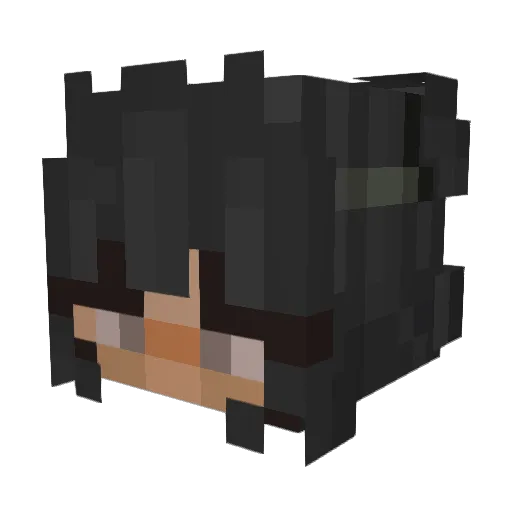 reyjediskywalker Minecraft avatar head, 3D render