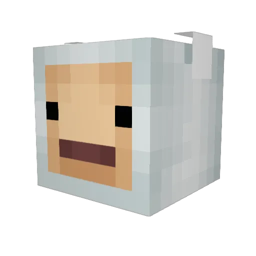 reyny123 Minecraft avatar head, 3D render