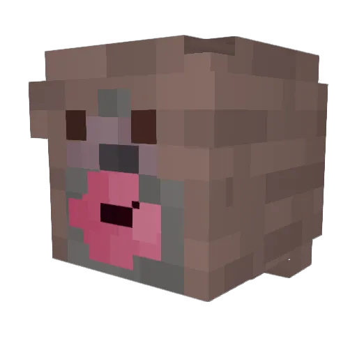 reyrey98 Minecraft avatar head, 3D render
