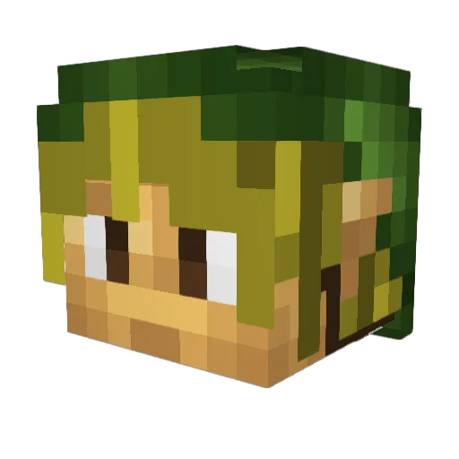 reyreytrey Minecraft avatar head, 3D render