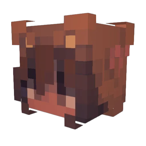 reyzmi Minecraft avatar head, 3D render