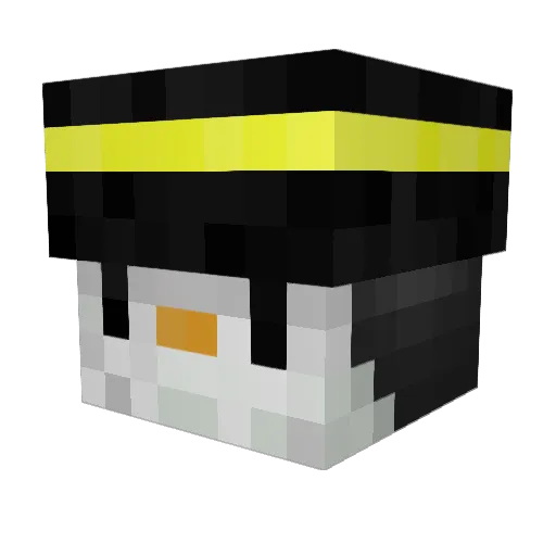reza_lol Minecraft avatar head, 3D render