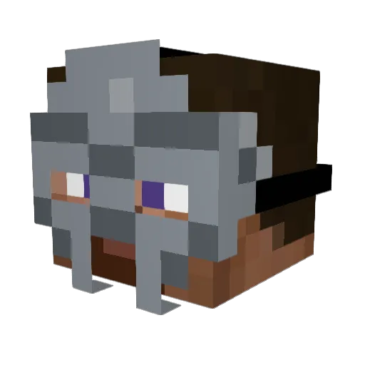 rezuien Minecraft avatar head, 3D render
