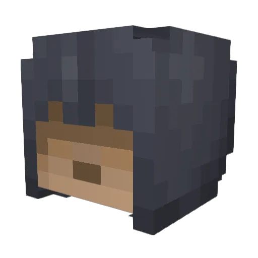 rezydent1 Minecraft avatar head, 3D render