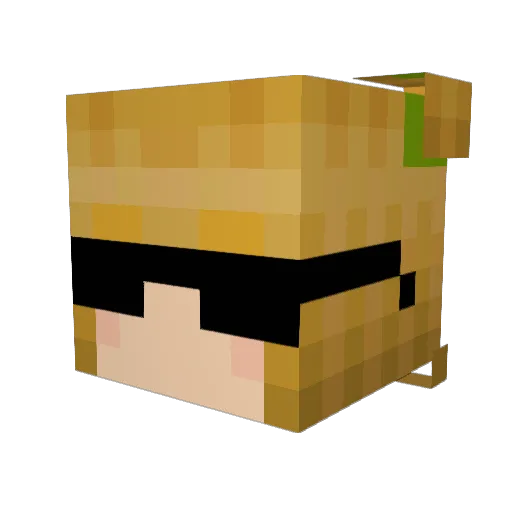 rfbGaming Minecraft avatar head, 3D render