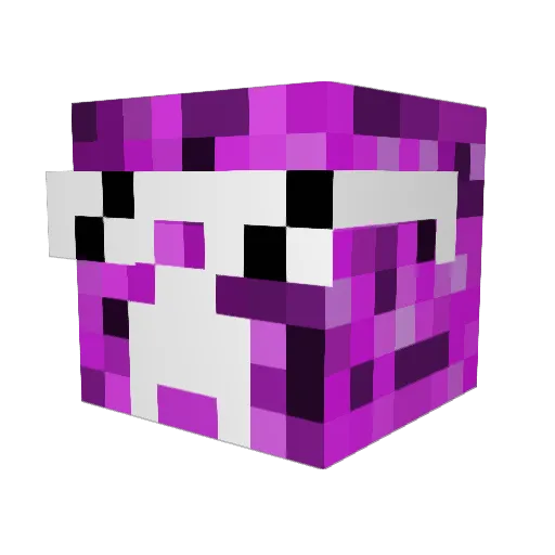 rfire21 Minecraft avatar head, 3D render