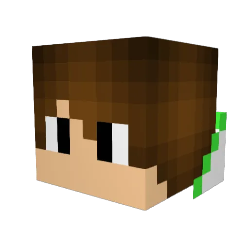 rfm2002 Minecraft avatar head, 3D render