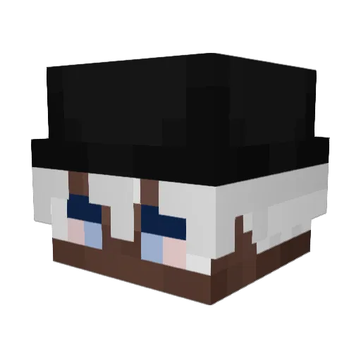 rfscann4 Minecraft avatar head, 3D render